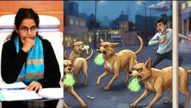 Photo of कुत्तों के बढ़ते आतंक पर लगेगा लगाम, निर्देश का करें पालन – शताब्दी मजूमदार, डीडीसी